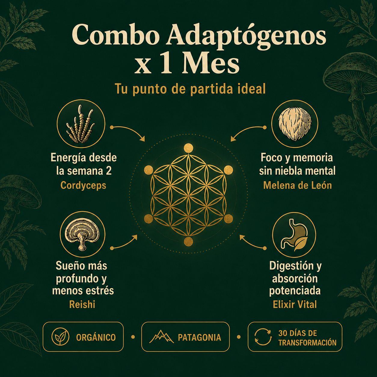 Combo Adaptógenos x 1 Mes