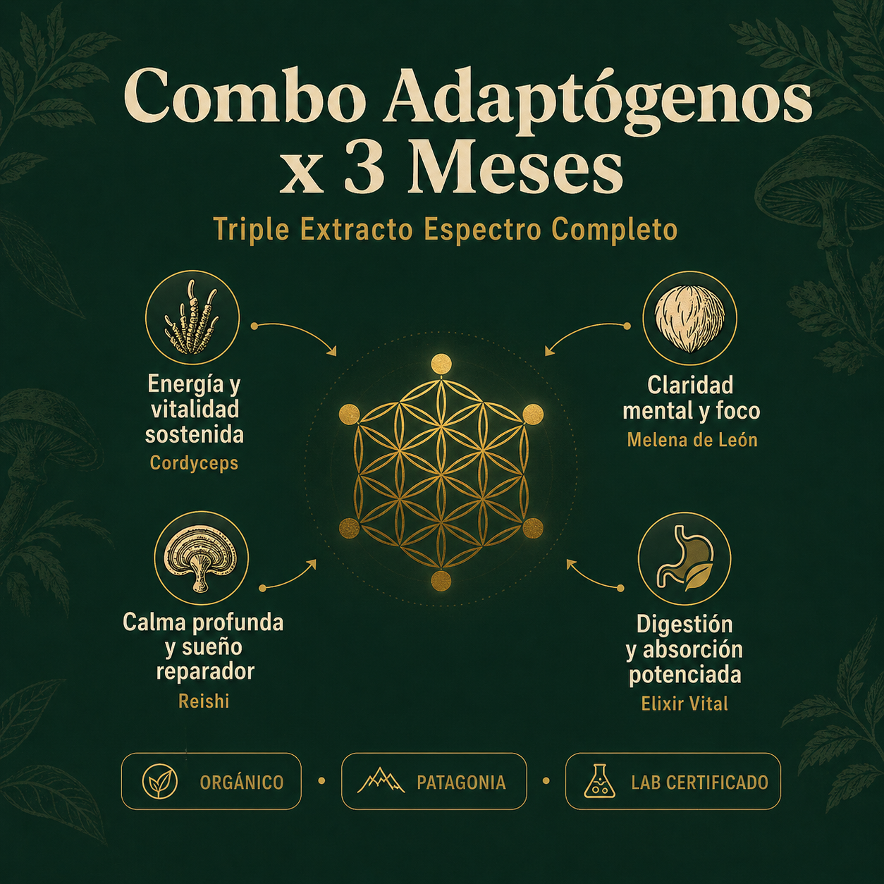 Combo Inmunológico x 3 Meses — Línea Ancestral + Elixir Vital