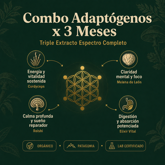 Combo Adaptógenos x 3 Meses ⭐ Más Vendido