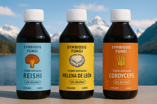 Combo Adaptógenos x 3 Meses — Sin Alcohol + Elixir Vital 500ml